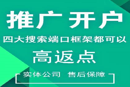 竞价SEM案例分享：行业霸主崛起之路